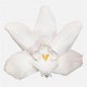 WHITE CYMBIDIUM  per 3 FLOWERS