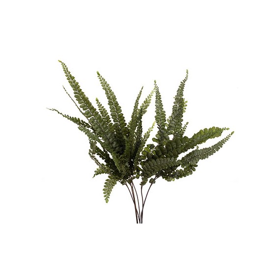 GREEN MINI FERN  h 20 cm. 6 stems