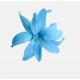 BLUE SKY TUBEROSA  per 12 FLOWERS