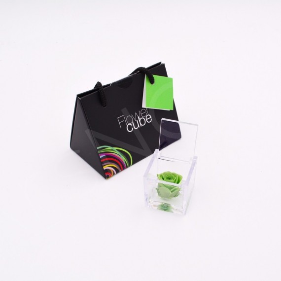 MINI FLOWERCUBE ROSA cm 4,5X4,5 + SHOPPER - VERDE/GREEN