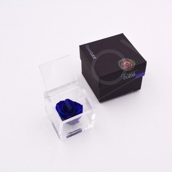 FLOWERCUBE ROSA 6X6 + PACKAGING -  BLU/BLUE