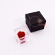 FLOWERCUBE ROSA 6X6 + PACKAGING - ROSSO/RED