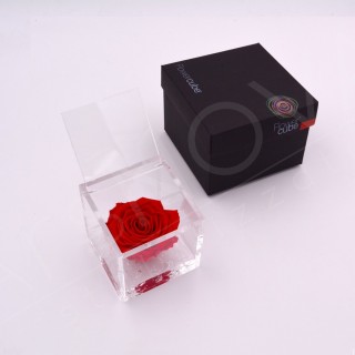FLOWERCUBE ROSE 8X8 + PACKAGING - RED COLOR