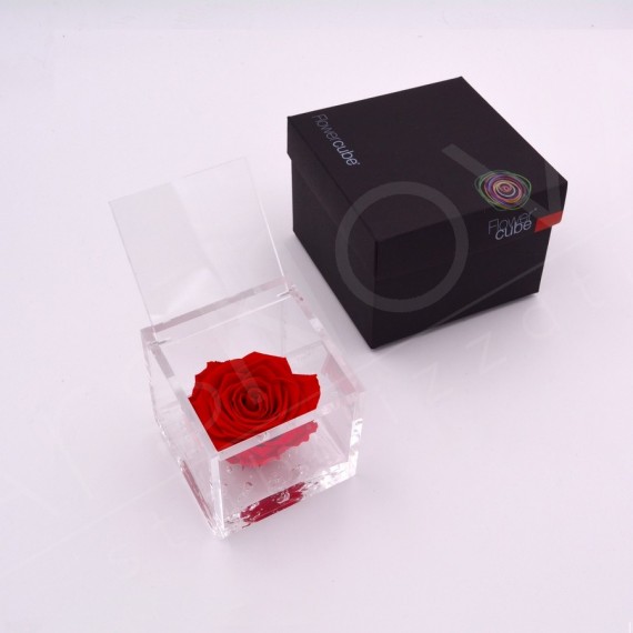 FLOWERCUBE ROSA 8X8 + PACKAGING - ROSSO/RED