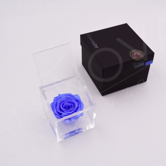 FLOWERCUBE ROSA 8X8 + PACKAGING - AZZURRO/LIGHT BLUE