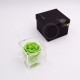 FLOWERCUBE ROSA 8X8 + PACKAGING - VERDE/GREEN