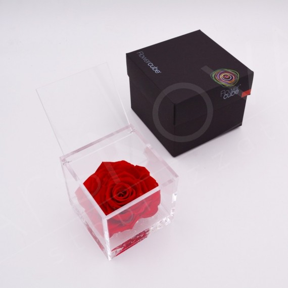 FLOWERCUBE ROSA 12X12 + PACKAGING - COLORE ROSSO