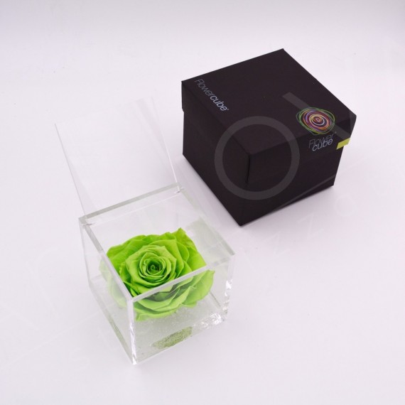 FLOWERCUBE ROSA 10X10 + PACKAGING - VERDE/GREEN