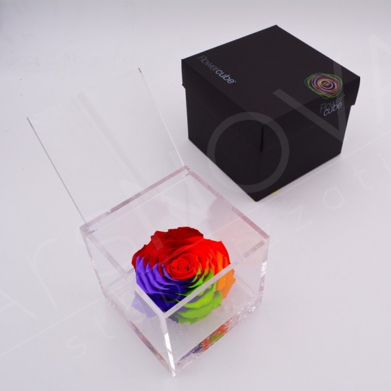 FLOWERCUBE SPECIAL ED. ROSA 12X12 + PACKAGING - COLORE RAINBOW