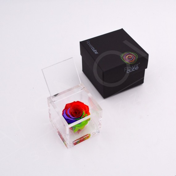 FLOWERCUBE ROSA 6X6 + PACKAGING - RAINBOW