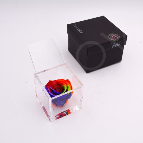 FLOWERCUBE SPECIAL ED. ROSA 8X8 + PACKAGING - COLORE RAINBOW