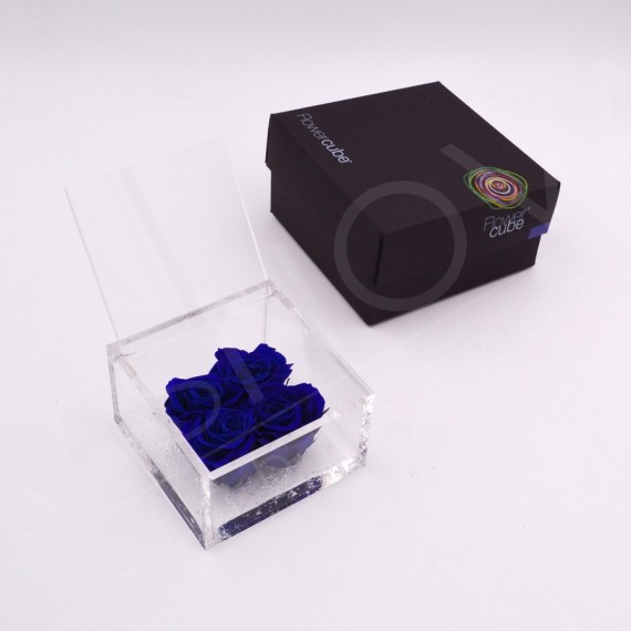 FLOWERCUBE 4  ROSE 10X10X6+ PACKAGING - BLU/BLUE