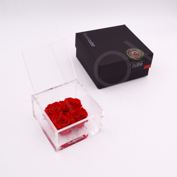 FLOWERCUBE 4  ROSE 10X10X6+ PACKAGING - ROSSO/RED
