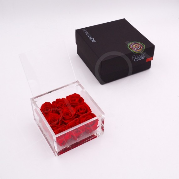 FLOWERCUBE 9  ROSE 10X10X6+ PACKAGING - ROSSO/RED