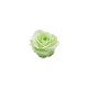 ROSA PRECIOUS d.2,5 cm - COLORE VERDE PASTELLO - IMBALLO 16 pz