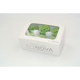 6 CHERIE ROSES d.4 cm - GREEN COLOR  - MIN. 1 BOX