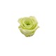 ROSA CHERIE d.4 cm - COLORE VERDE PASTELLO - IMBALLO 6 pz