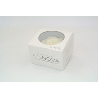 1 ROSA GRAN PRIX d.10 cm - COLORE AVORIO - MIN. 1 BOX