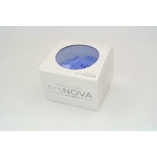 1 ROSA GRAN PRIX d.10 cm - COLORE BLU GLICINE - MIN. 1 BOX