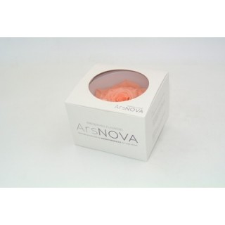 1 ROSA GRAN PRIX d.10 cm - COLORE PESCA - MIN. 1 BOX