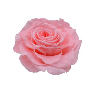 ROSA GRAN PRIX d.10 cm - COLORE ROSA PASTELLO - IMBALLO 1 pz