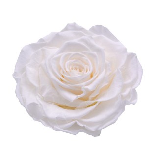 ROSA MAXI diametro 12 cm - COLORE BIANCO - IMBALLO 1 PZ