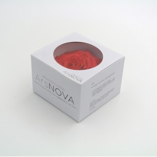 1 ROSA GRAN PRIX d.10 cm - COLORE CORALLO - MIN. 1 BOX