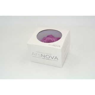 1 ROSA MAXI diametro 12 cm - COLORE LILLA - MIN. 1 BOX