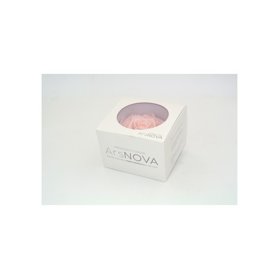 1 ROSA MAXI diametro 12 cm - COLORE ROSA PASTELLO - MIN. 1 BOX