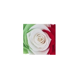 3 ROSES BACCARA MULTICOLOR ITALY d.6 cm