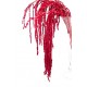 AMARANTHUS RED 80 cm ˜ 150 gr