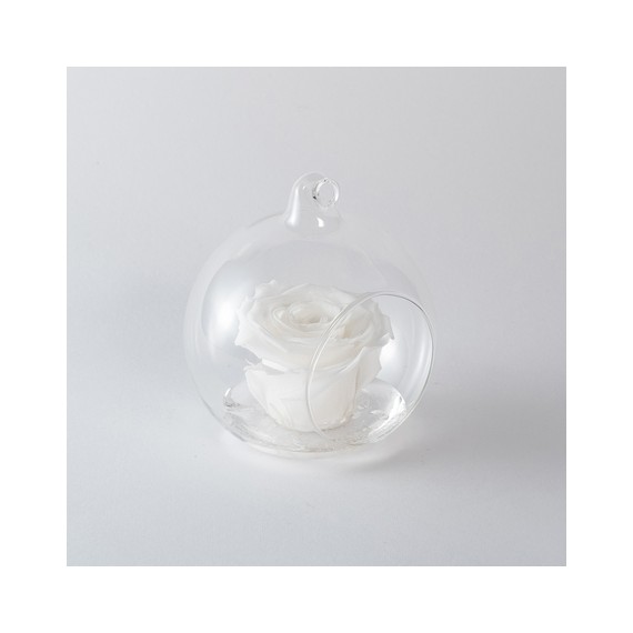 FLOWERBALL d.10 cm ROSA BACCARA + PACKAGING - COLORE BIANCO
