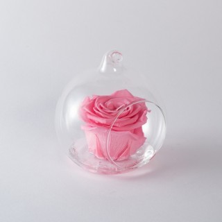 FLOWERBALL d.10 cm ROSA BACCARA + PACKAGING - COLORE ROSA