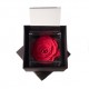 FLOWERCUBE ROSA 10X10 + PACKAGING - CORALLO/CORAL