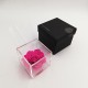 FLOWERCUBE ROSA 10X10 + PACKAGING - FUCSIA/FUCHSIA