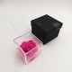 FLOWERCUBE SPECIAL ED. ROSA 10X10 + PACKAGING - COLOR FUCSIA