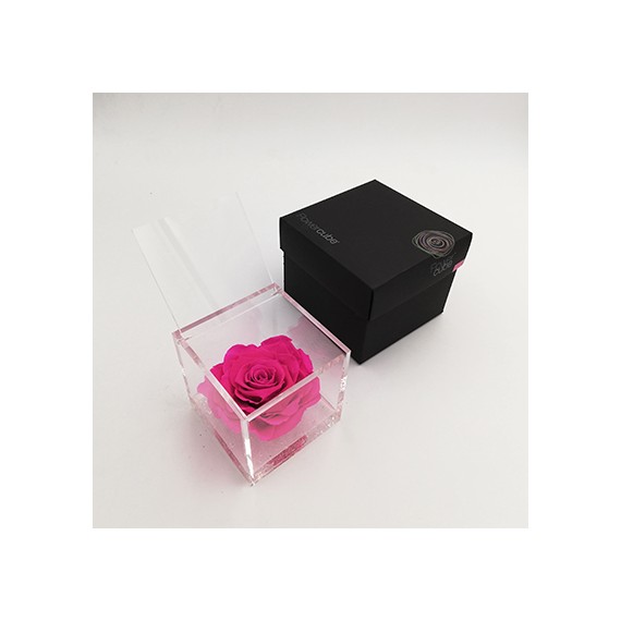 FLOWERCUBE ROSA 10X10 + PACKAGING - FUCSIA/FUCHSIA