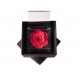 FLOWERCUBE SPECIAL ED. ROSA 6X6 + PACKAGING - COULEUR CORAL