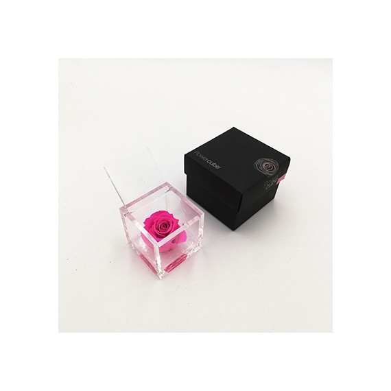 FLOWERCUBE ROSA 6X6 + PACKAGING -  FUCSIA/FUCHSIA