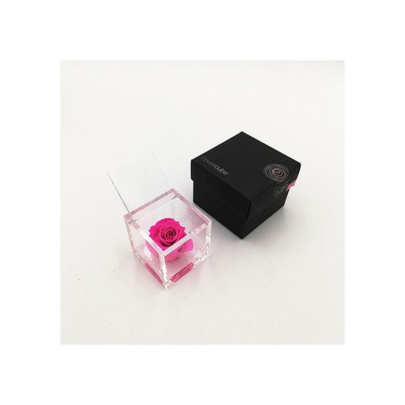 FLOWERCUBE SPECIAL ED. ROSA 6X6 + PACKAGING - COLOR FUCSIA