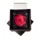 FLOWERCUBE ROSA 8X8 + PACKAGING - CORALLO/CORAL