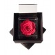 FLOWERCUBE SPECIAL ED. ROSA 8X8 + PACKAGING - COLOR CORAL