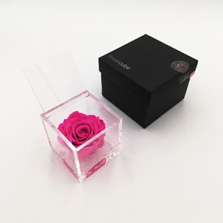 FLOWERCUBE ROSA 8X8 + PACKAGING - FUCSIA/FUCHSIA