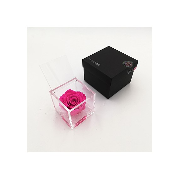 FLOWERCUBE ROSA 8X8 + PACKAGING - FUCSIA/FUCHSIA
