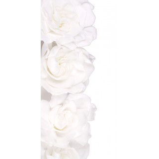 GARDENIA WHITE X 3 FLOWERS