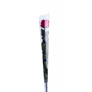ROSE BACCARA WITH STEM d.6 h.50 - RED