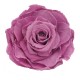1 ROSA MAXI diametro 12 cm - COLORE LILLA - MIN. 1 BOX
