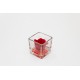 MADE IN FLOWERS BAG - CUBO VETRO 6X6 ROSA VERA PROFUMATA - COLORE RED