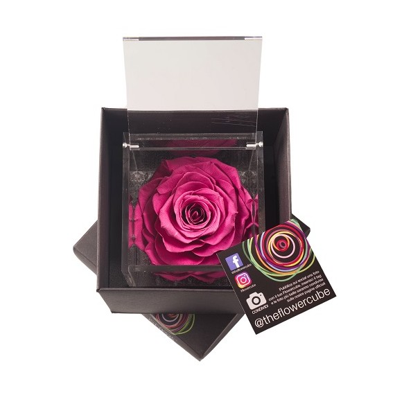 FLOWERCUBE ROSA 10X10 + PACKAGING - MIRTILLO/BLUEBERRY