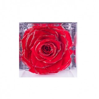 FLOWERCUBE ROSA GLITTER ORO 6X6 + PACKAGING - COLORE ROSSO